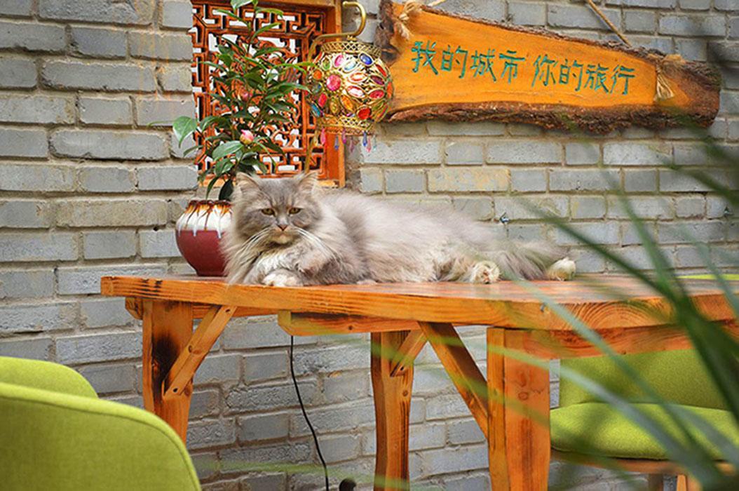 Luoyang Longmen Youth Hostel Exteriér fotografie